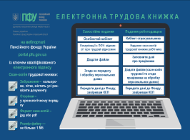 Інфографіка електр трудова книжка