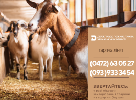 5223 гаряча лінія