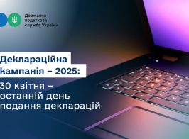 Деклараційна кампанія – 2025